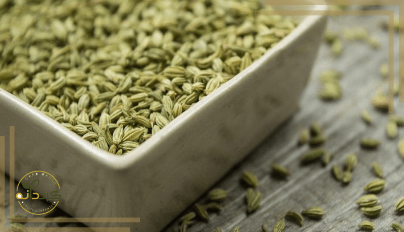 رازیانه-و-یائسگی-زودرس.