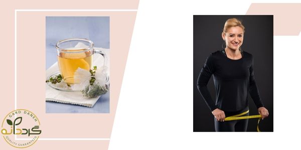 پودر آویشن و لاغری شکم