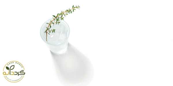 مضرات مصرف زیاد آویشن