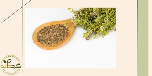 چه میزان پودر آویشن در روز می توانیم استفاده کنیم؟