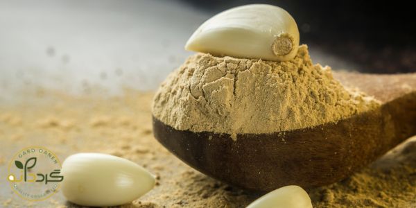 پودر سیر برای لاغری