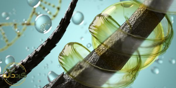 خواص پودر سیر برای مو